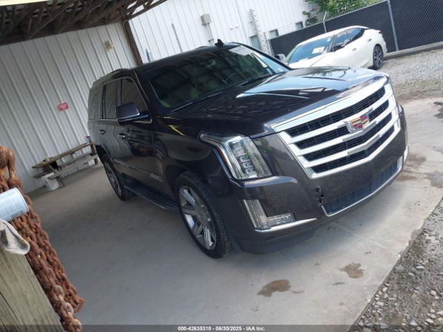 CADILLAC ESCALADE – zdjęcie z aukcji, lot #42635310