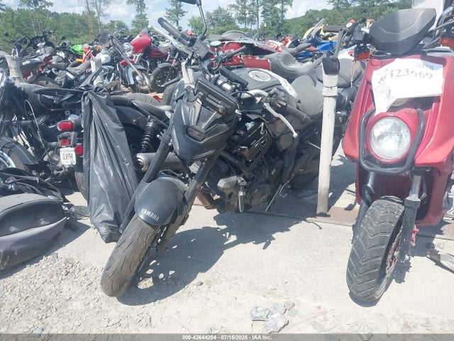 2025 YAMAHA MTN690 