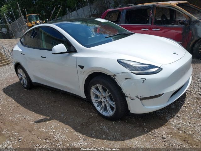 TESLA MODEL Y – zdjęcie z aukcji, lot #42644656