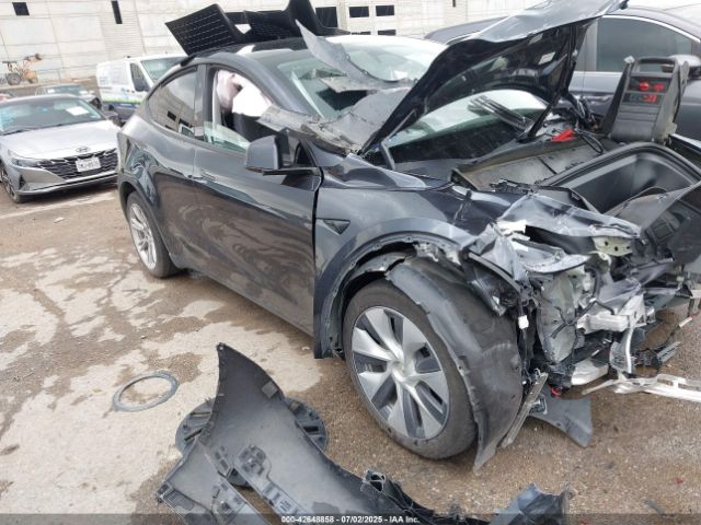 TESLA MODEL Y – zdjęcie z aukcji, lot #42648858