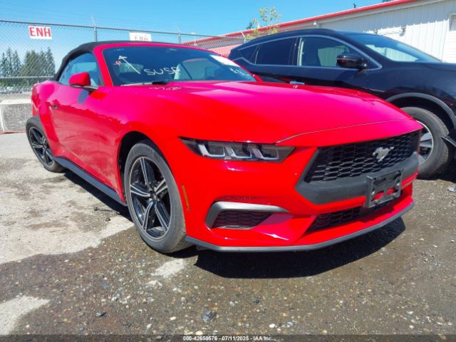 FORD MUSTANG – zdjęcie z aukcji, lot #42650576