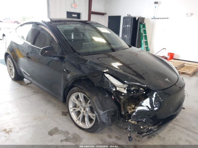 TESLA MODEL Y – zdjęcie z aukcji, lot #42651024