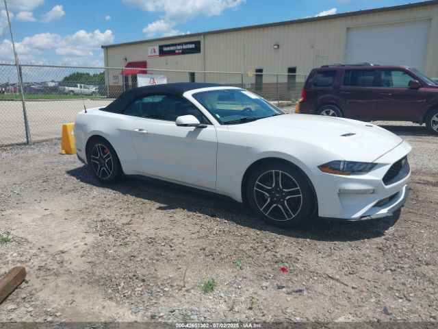 FORD MUSTANG – zdjęcie z aukcji, lot #42651302