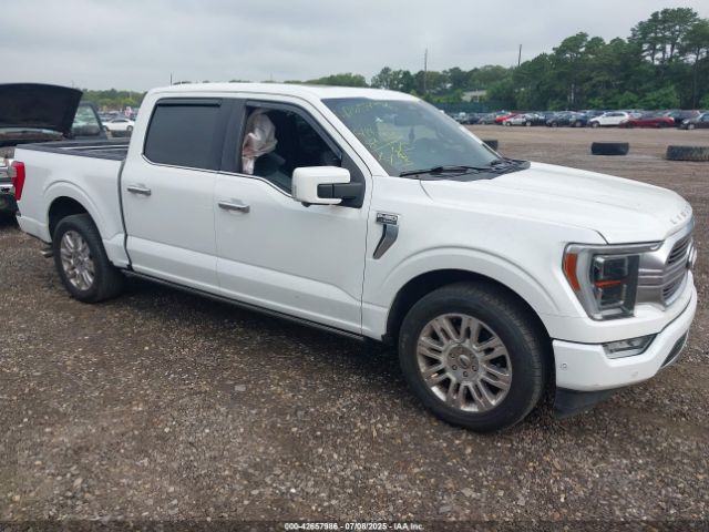 FORD F-150 – zdjęcie z aukcji, lot #42657986