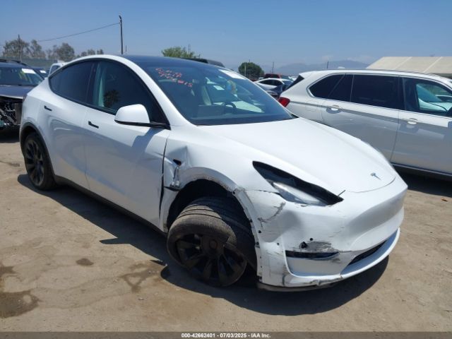 TESLA MODEL Y – zdjęcie z aukcji, lot #42662401