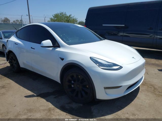 TESLA MODEL Y – zdjęcie z aukcji, lot #42666297