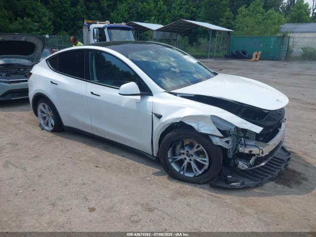 TESLA MODEL Y – zdjęcie z aukcji, lot #42676392