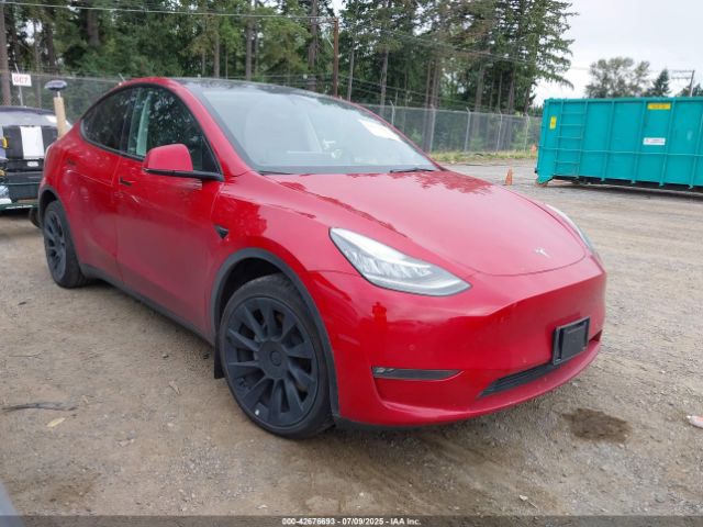 TESLA MODEL Y – zdjęcie z aukcji, lot #42676693