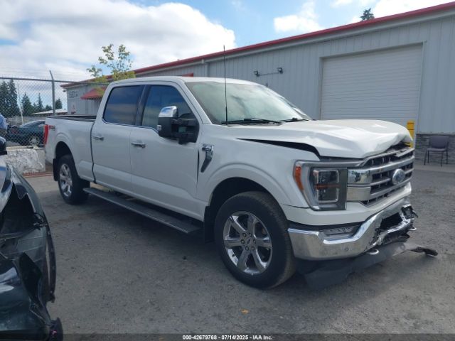 FORD F-150 – zdjęcie z aukcji, lot #42679768