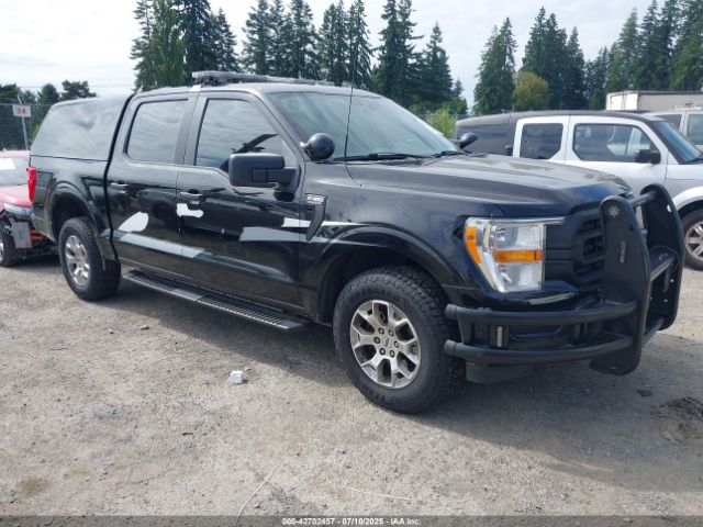 FORD F-150 POLICE RESPONDER – zdjęcie z aukcji, lot #42702457