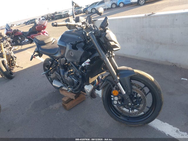 2025 YAMAHA MTN690 