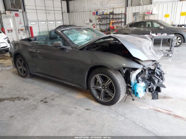 FORD MUSTANG – zdjęcie z aukcji, lot #42714768