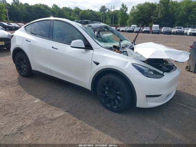 TESLA MODEL Y – zdjęcie z aukcji, lot #42719918