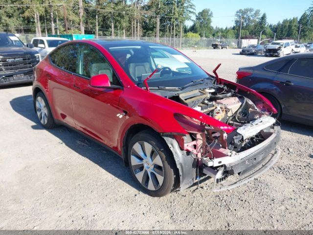 TESLA MODEL Y – zdjęcie z aukcji, lot #42723666