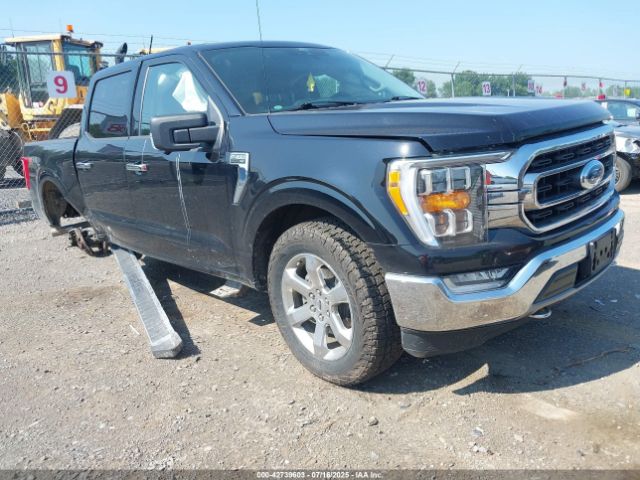 FORD F150 – zdjęcie z aukcji, lot #42739603