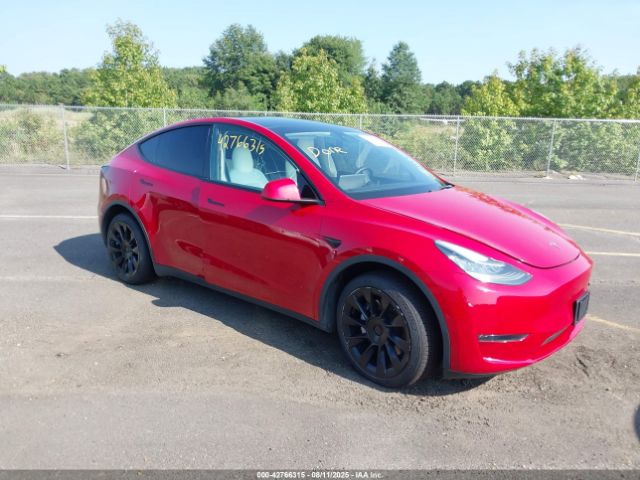 TESLA MODEL Y – zdjęcie z aukcji, lot #42766315