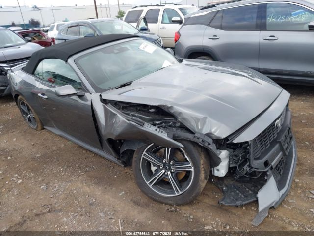 FORD MUSTANG – zdjęcie z aukcji, lot #42766643