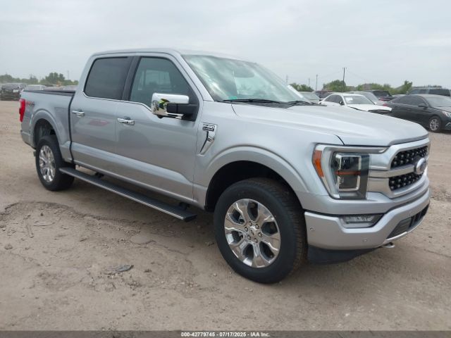FORD F-150 – zdjęcie z aukcji, lot #42779745