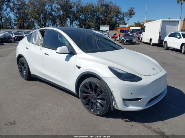 TESLA MODEL Y – zdjęcie z aukcji, lot #42790927