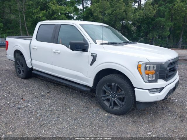 FORD F150 – zdjęcie z aukcji, lot #42792316