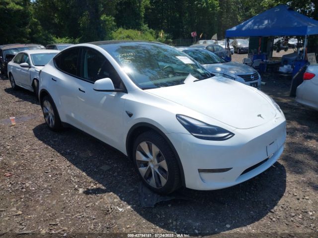TESLA MODEL Y – zdjęcie z aukcji, lot #42794181