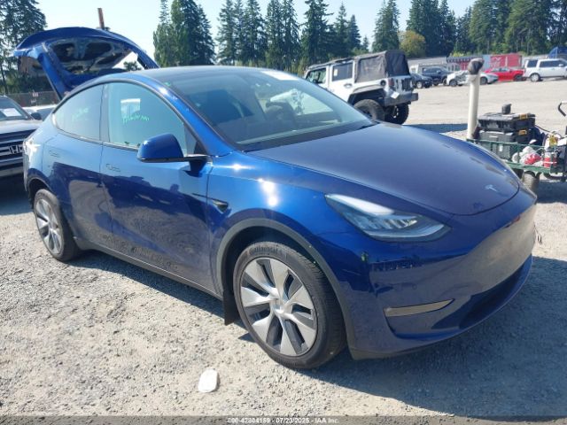 TESLA MODEL Y – zdjęcie z aukcji, lot #42804159