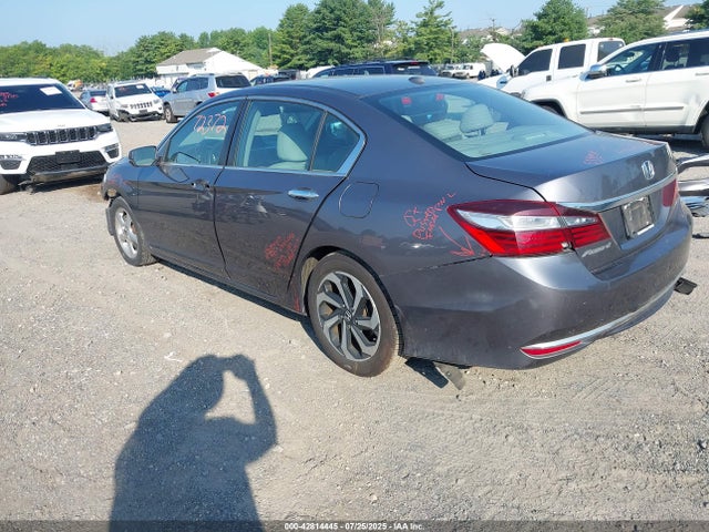 HONDA ACCORD EX-L - 3