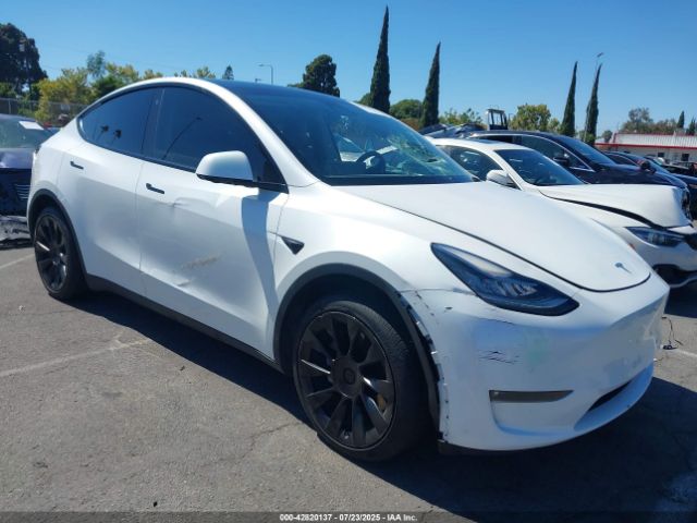 TESLA MODEL Y – zdjęcie z aukcji, lot #42820137