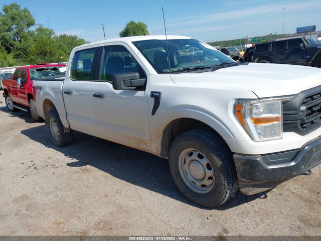 FORD F150 – zdjęcie z aukcji, lot #42823433