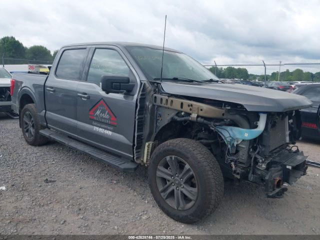 FORD F-150 – zdjęcie z aukcji, lot #42828746