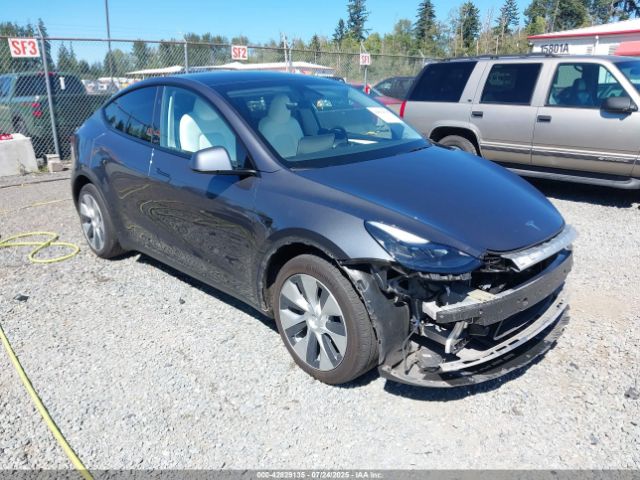 TESLA MODEL Y – zdjęcie z aukcji, lot #42829135