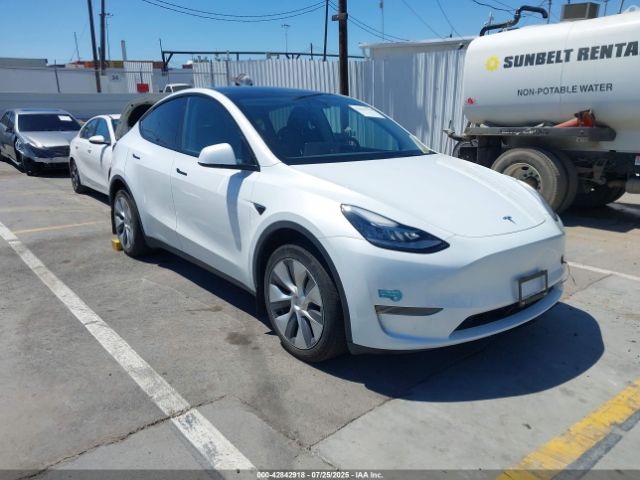 TESLA MODEL Y – zdjęcie z aukcji, lot #42842918
