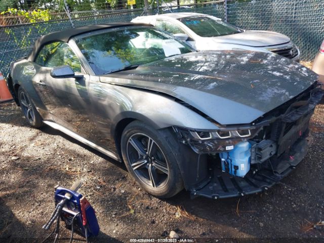 FORD MUSTANG – zdjęcie z aukcji, lot #42848442