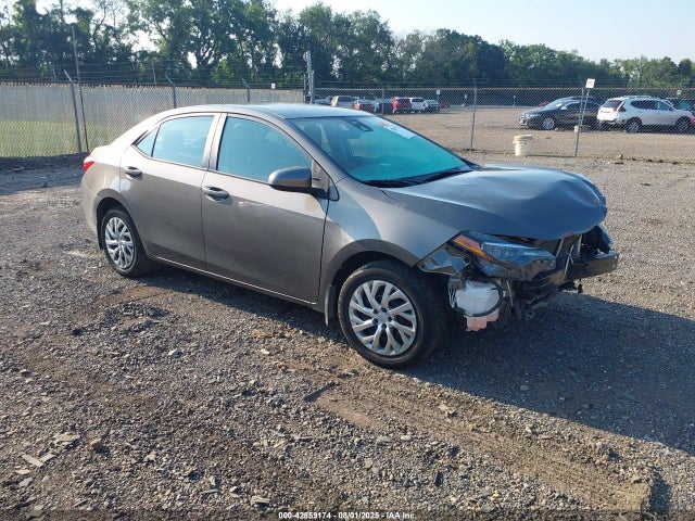 2019 TOYOTA COROLLA LE