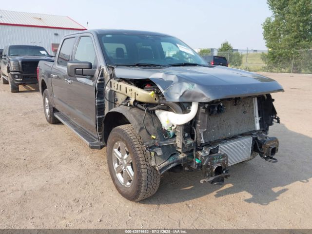 FORD F150 – zdjęcie z aukcji, lot #42876653