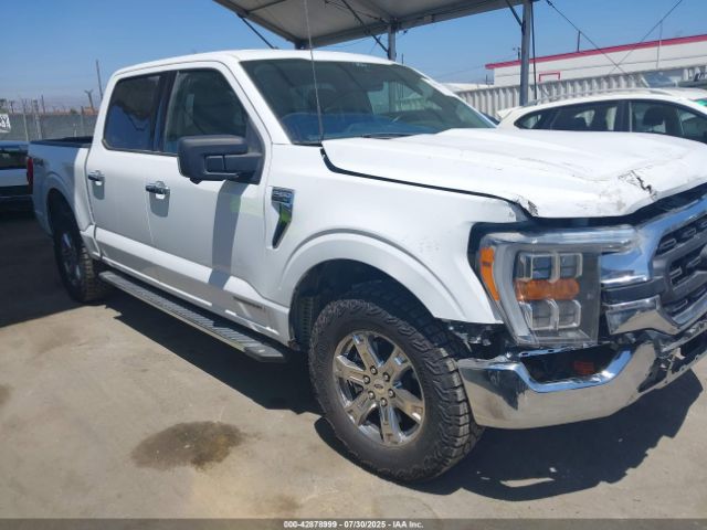 FORD F-150 – zdjęcie z aukcji, lot #42878999