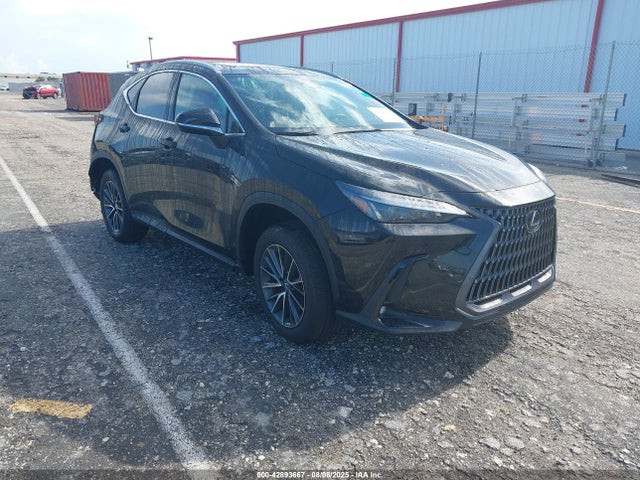 2025 LEXUS NX PREMIUM