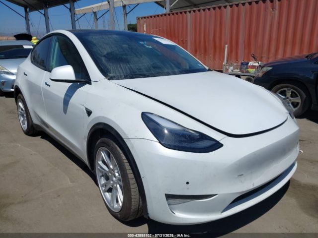 TESLA MODEL Y – zdjęcie z aukcji, lot #42895102