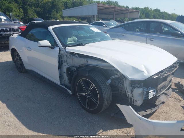 FORD MUSTANG – zdjęcie z aukcji, lot #42919240