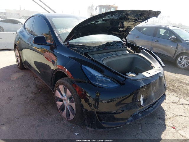 2024 TESLA MODEL Y RWD