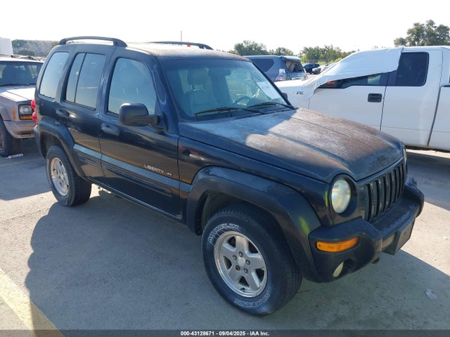2002 JEEP LIBERTY LIMITED EDITION