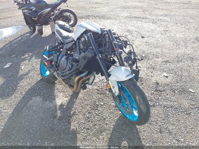 2025 YAMAHA MTN690 