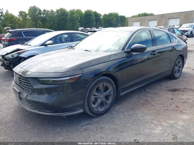 صورة 2 لـ 2024 Honda ACCORD EX