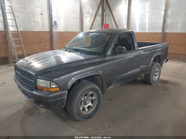 2003 Dodge DAKOTA — фото 2