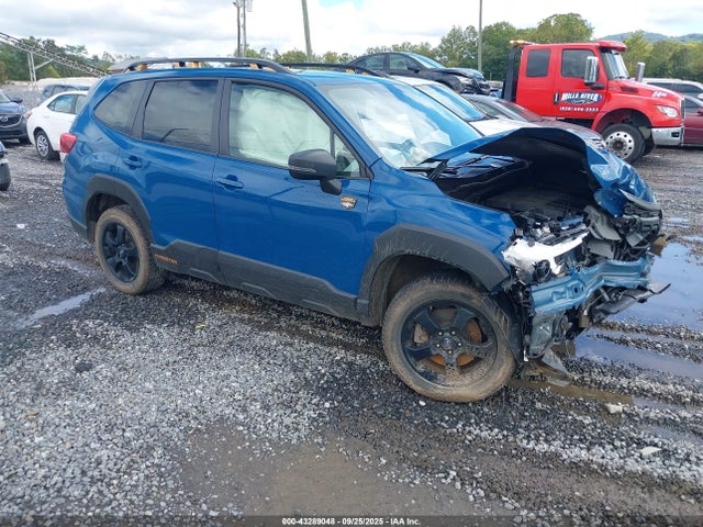 2024 SUBARU FORESTER WILDERNESS