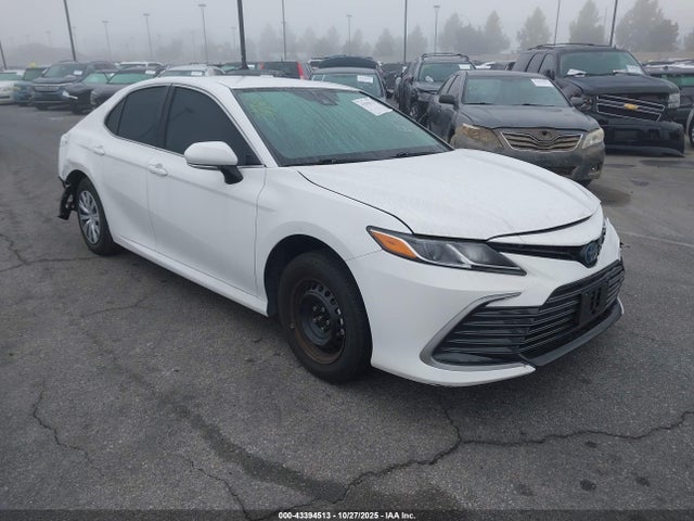 2024 TOYOTA CAMRY LE