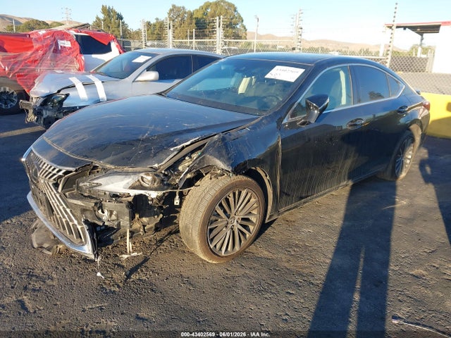 2023 Lexus ES 300H 照片 2