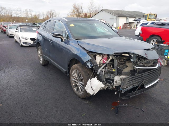 2024 TOYOTA VENZA XLE