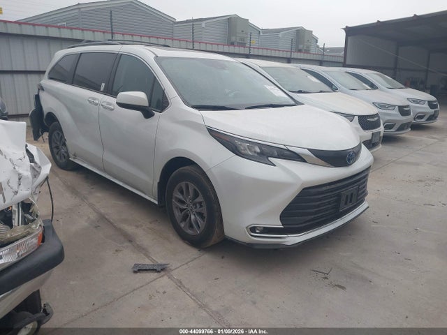 2024 TOYOTA SIENNA XLE
