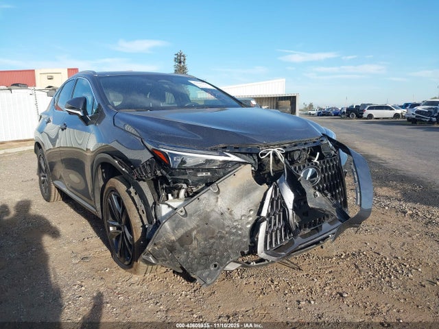 2024 LEXUS NX LUXURY